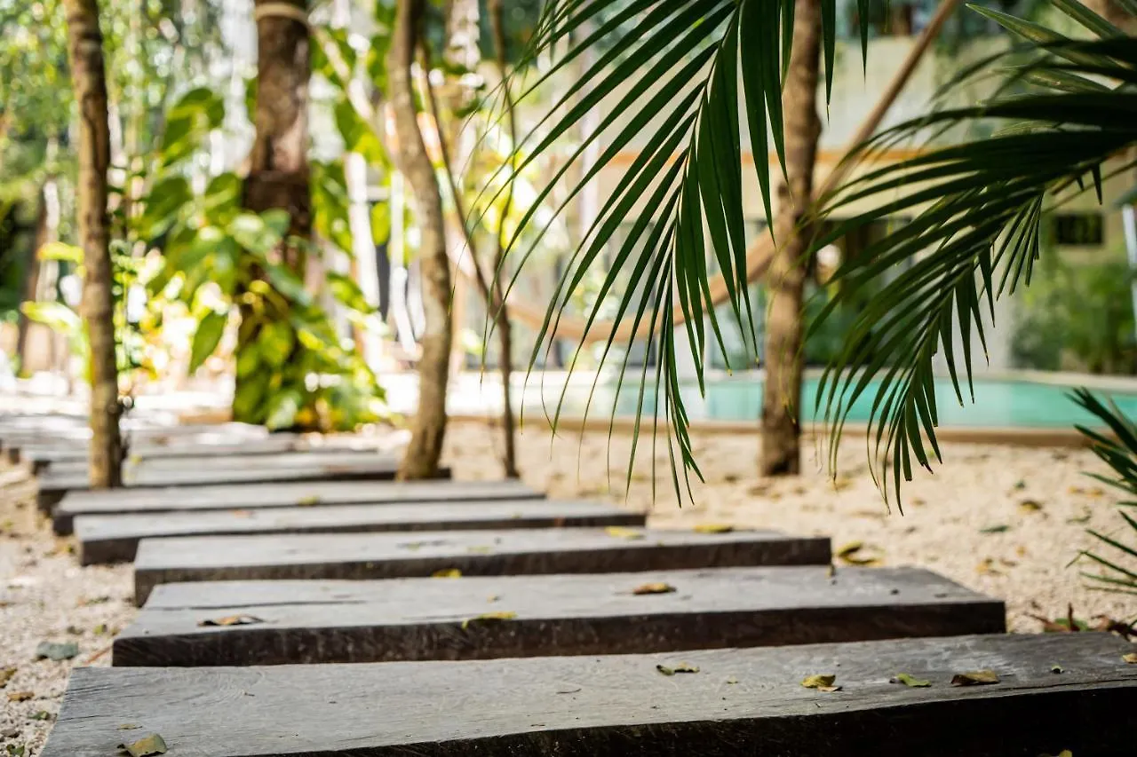 Casai - Bohemian Loft In Eco-Chic Community La Veleta Apartment Tulum 0*,  Mexico