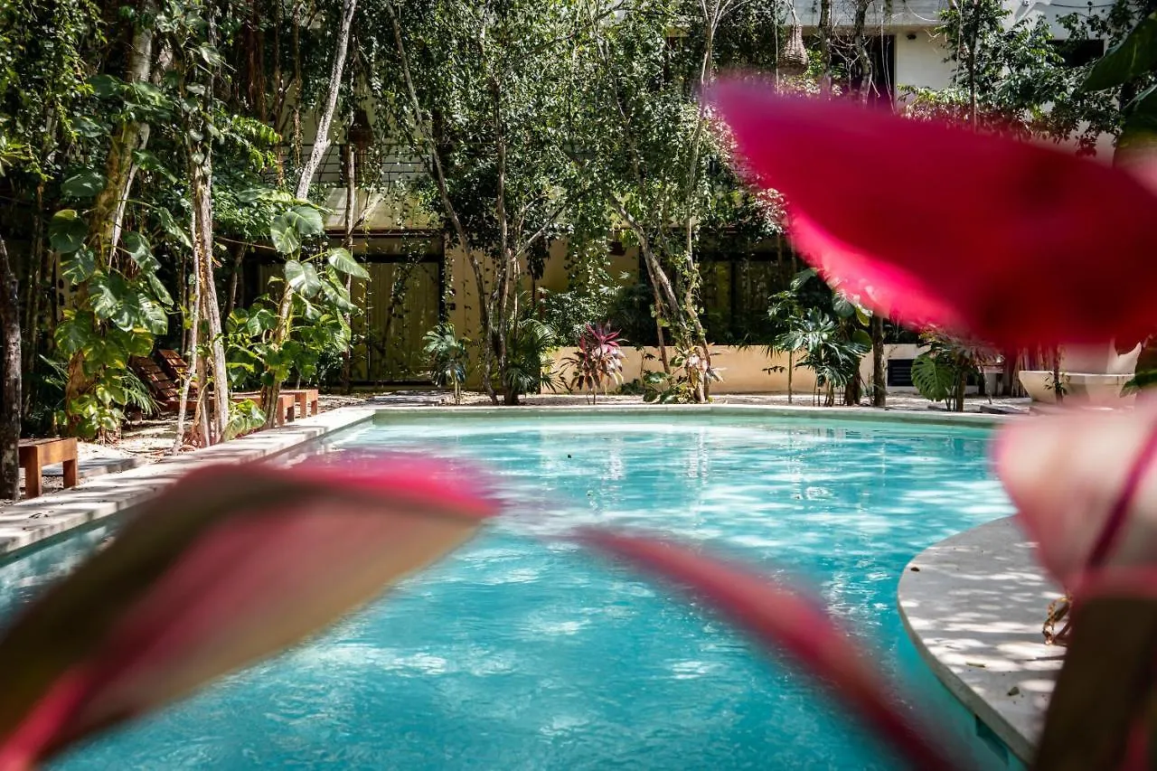 Casai - Bohemian Loft In Eco-Chic Community La Veleta Apartment Tulum Mexico