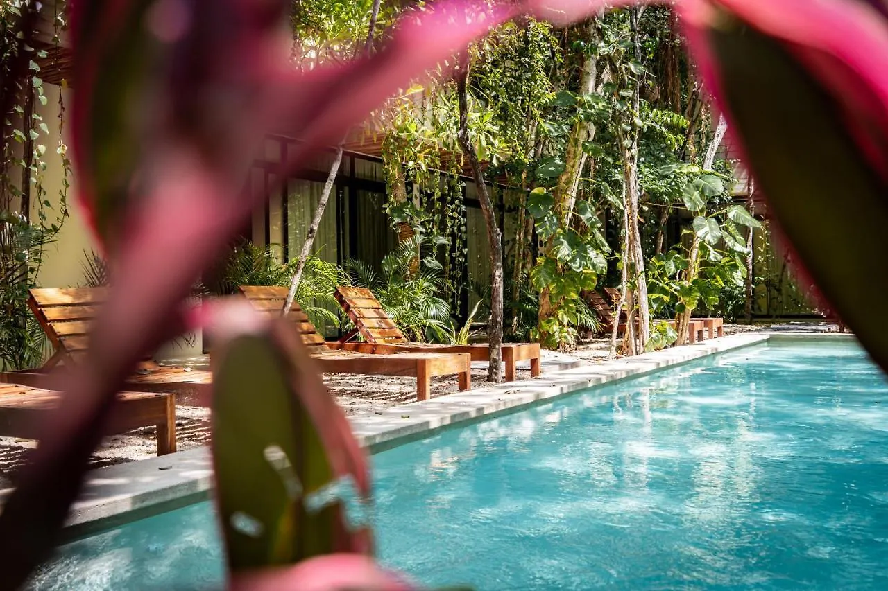 Casai - Bohemian Loft In Eco-Chic Community La Veleta Lägenhet Tulum